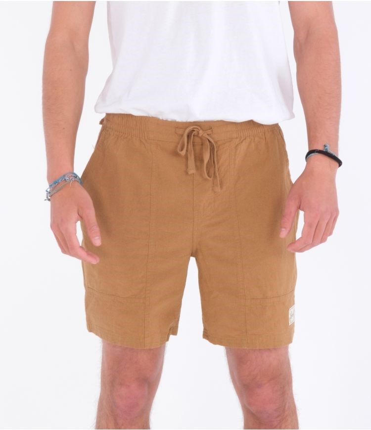Hurley Shorts 17