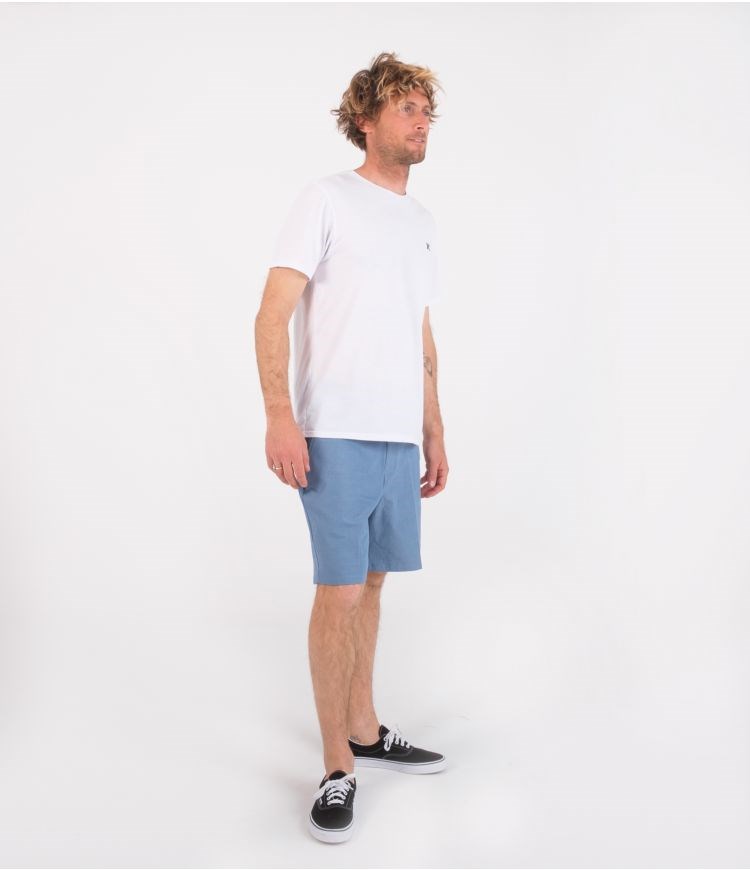 Hurley Shorts 19