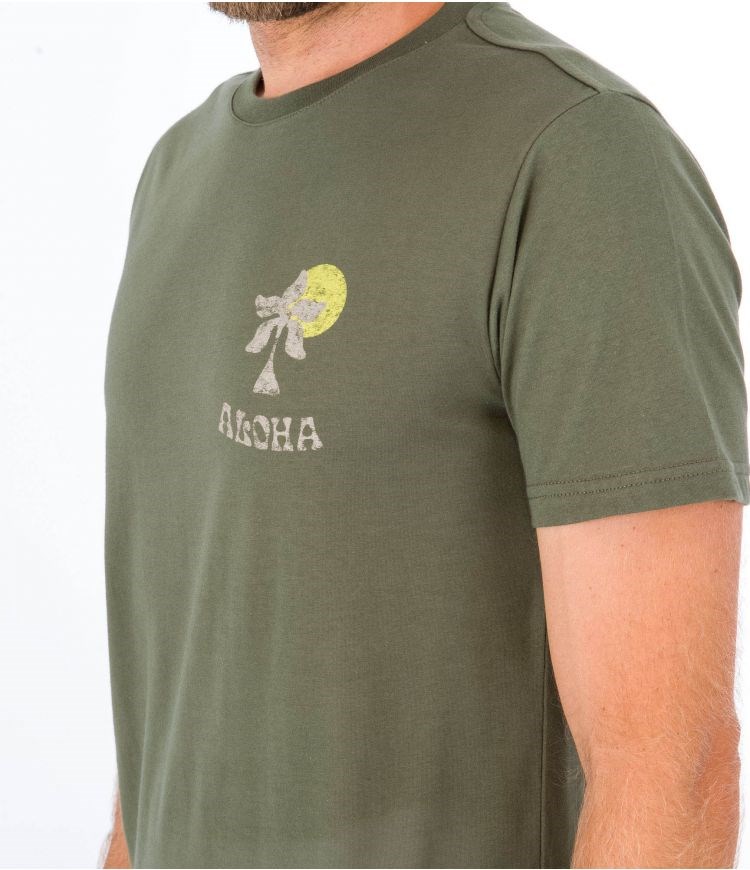 Hurley T-shirt Korta Sleeve Country Mörkgröna | 07825HCXE