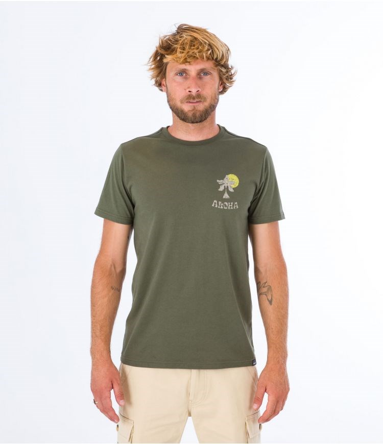 Hurley T-shirt Korta Sleeve Country Mörkgröna | 07825HCXE