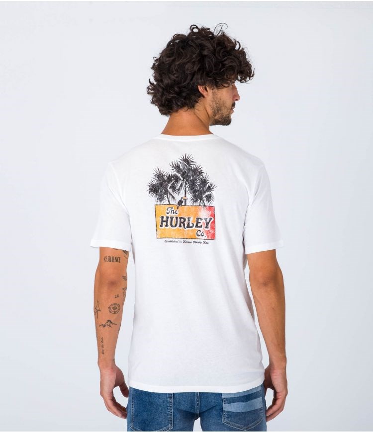 Hurley T-shirt Korta Sleeve Edv Wsh No Cancy Vita | 87504XOIU