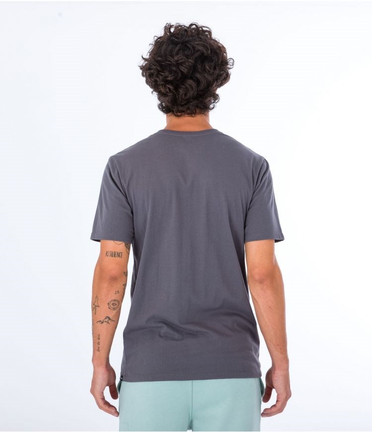 Hurley T-shirt Korta Sleeve Everyday Explore Mountain Man Grå | 41970QDCU